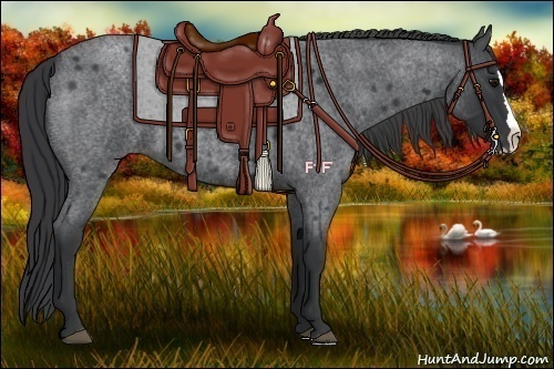 Horse Color:Blue Roan Splash