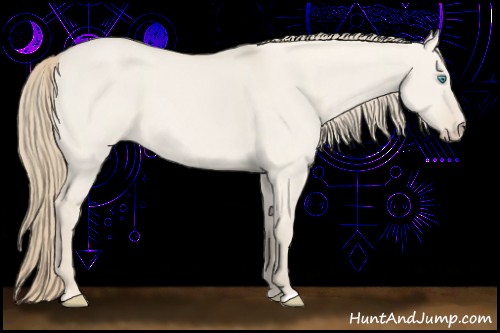 Horse Color:Smoky Creme Dun