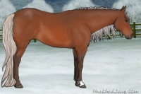 Horse Color:Silver Brown 