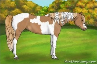 Horse Color:Chestnut Tobiano