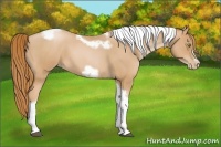 Horse Color:Red Roan Pearl Tobiano Frame 
