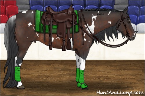 Horse Color:White Spotted Brown Tobiano Rabicano