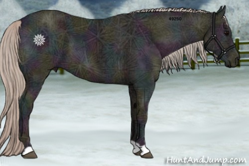 Horse Color:Midnight Silver Black Ice 
