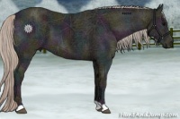 Horse Color:Midnight Silver Black Ice 