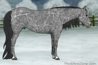 Horse Color:Black Ice 
