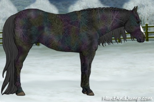 Horse Color:Midnight Black Ice 