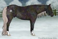 Horse Color:Midnight Silver Black Ice 