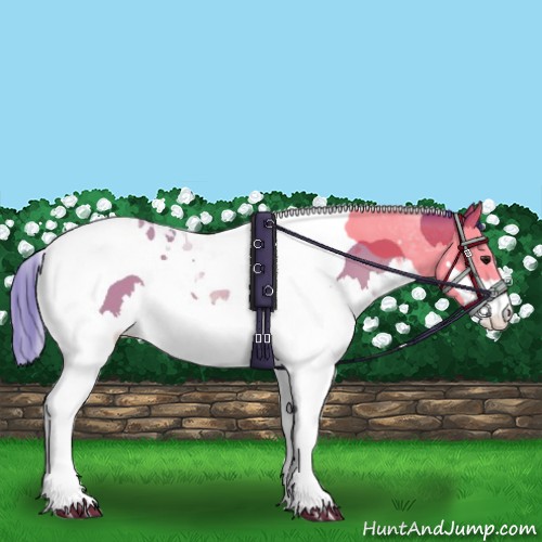 Horse Color:Watercolor Bay Splash Tobiano 