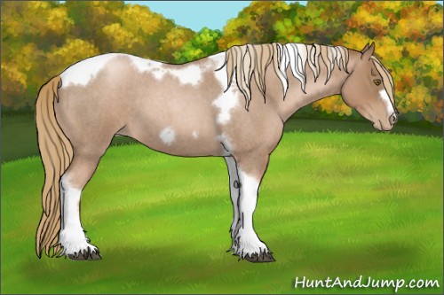 Horse Color:Liver Red Roan Pearl Tobiano Frame 