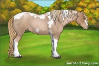 Horse Color:Liver Red Roan Pearl Tobiano Frame