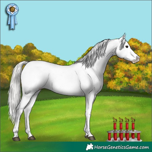 Horse Color:White Spotted Silver Grullo Near Leopard Rabicano Brindle 