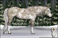 Horse Color:White Spotted Silver Grullo Splash Brindle
