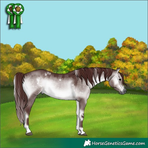Horse Color:Gray Platinum White Spotted Chocolate Brown Onyx 