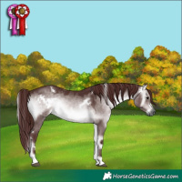 Horse Color:Gray Platinum White Spotted Chocolate Brown Onyx 