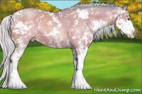 Horse Color:Watercolor Silver Brown Pearl Sabino 
