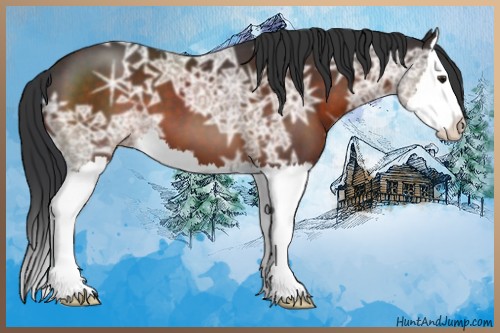 Horse Color:Brown Ice Sabino Splash