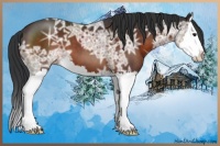 Horse Color:Brown Ice Sabino Splash