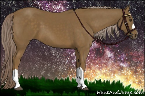 Horse Color:Chocolate Palomino 