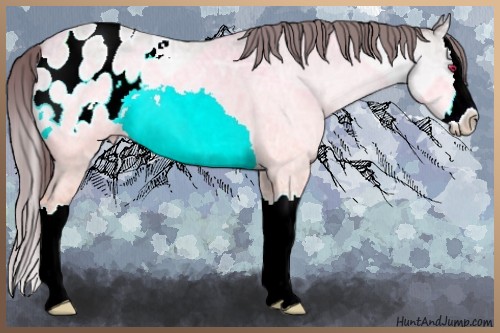 Horse Color:Chocolate Sable Champagne Chinchilla Ice Roan Splash Blanket 