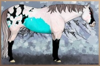 Horse Color:Chocolate Sable Champagne Chinchilla Ice Roan Splash Blanket 