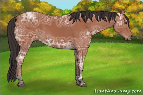 Horse Color:Brown Ice 