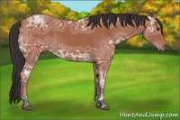 Horse Color:Brown Ice 