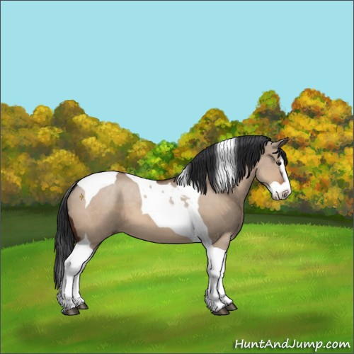 Horse Color:Brown Dun Splash Tobiano