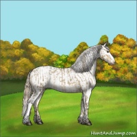 Horse Color:Chocolate Palomino Roan Dun  and Chocolate Palomino Roan Dun Blanket 