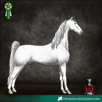 Horse Color:Cremello Snowcap  and Cremello Varnish 