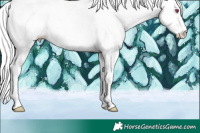 Horse Color:Liver Red Onyx Chinchilla Mushroom Sabino Tobiano 