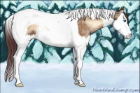 Horse Color:Plaid Chocolate Brown Onyx Splash Tobiano