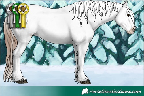 Horse Color:Red Dun Tobiano Blanket Rabicano