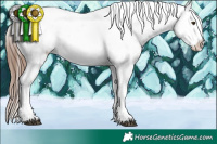 Horse Color:Red Dun Tobiano Blanket Rabicano 