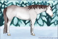 Horse Color:Chocolate Brown Chinchilla Sabino Splash Rabicano 