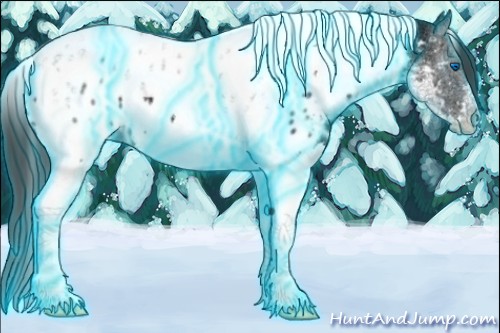 Horse Color:Thunderstruck Black Ice Splash Tobiano Appaloosa 