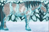 Horse Color:Thunderstruck White Spotted Brown Ice Roan Snowflake Varnish 