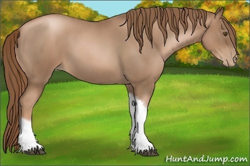 Horse Color:Liver Red Roan Pearl Tobiano Frame