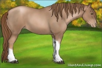Horse Color:Liver Red Roan Pearl Tobiano Frame