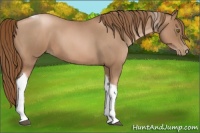 Horse Color:Liver Red Roan Pearl Tobiano Frame 