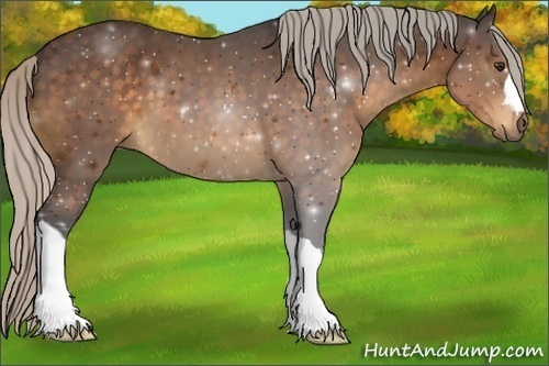 Horse Color:Silver Buckskin