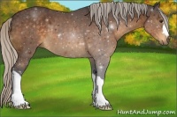 Horse Color:Silver Buckskin 