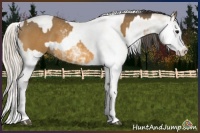 Horse Color:Buckskin Sabino and Perlino Sabino