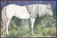 Horse Color:Perlino Sabino  and Perlino Sabino Splash 