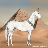 Horse Color:Cremello Sabino  and Cremello Sabino 