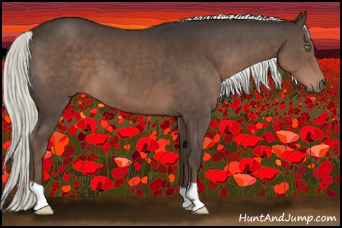 Horse Color:Liver Chestnut