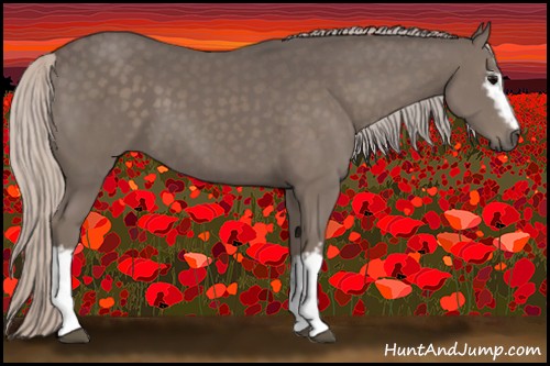 Horse Color:White Spotted Silver Black 