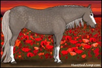 Horse Color:White Spotted Silver Black 