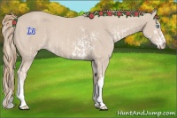 Horse Color:Smoky Creme Sabino and Smoky Creme
