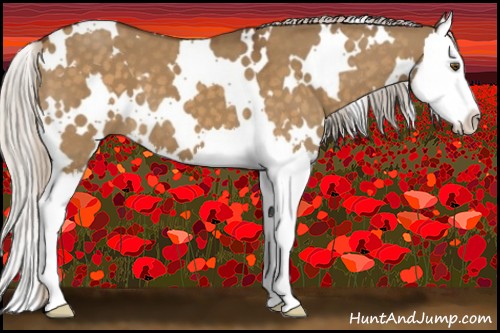 Horse Color:White Spotted Silver Buckskin Dun Splash 