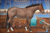 Horse Color:Bay Roan 